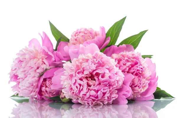 Beyaz Arka Plan Üzerinde Çiçek Açan Peonies Buket — Stok fotoğraf