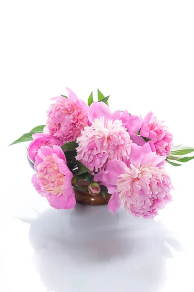 Fehér Alapon Virágzó Pünkösdi Rózsa Csokor — Stock Fotó