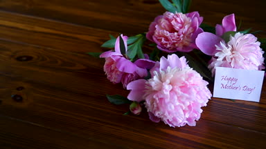 buket çiçek açan peonies