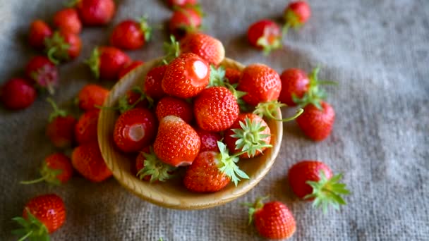 Fresa orgánica roja madura — Vídeos de Stock