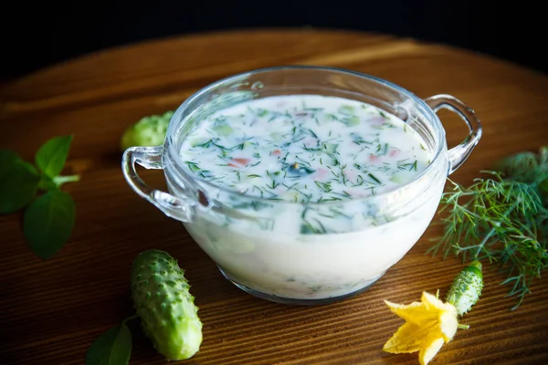 Soğuk yaz salatalık çorbası bir tabak içinde — Stok fotoğraf