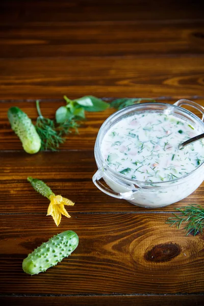 Cold summer cucumber soup in a plate — Stock Photo, Image