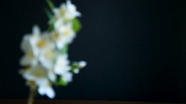 Yasemin çiçek çiçekler