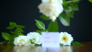 güzel beyaz çiçek açan güller