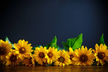 siyah bir zemin üzerine sarı büyük papatya buketi