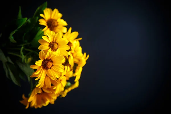 Strauß Großer Gelber Gänseblümchen Auf Schwarzem Hintergrund — Stockfoto