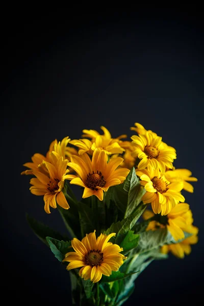 黒の背景に黄色の大きなデイジーの花束 — ストック写真