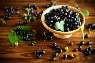 olgun meyveler siyah kuş üzümü