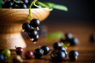 olgun meyveler siyah frenk üzümü siyah bir zemin üzerine