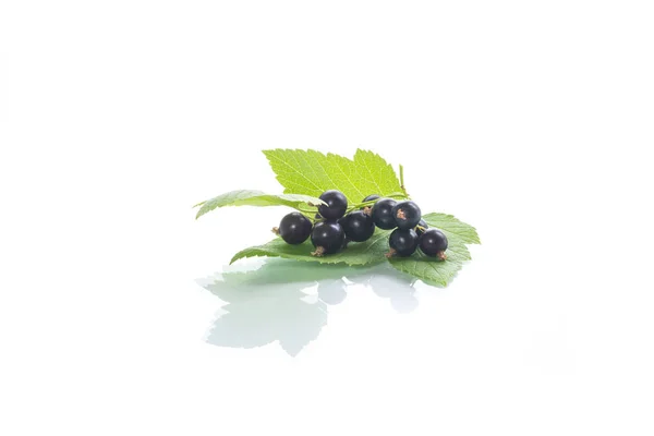 Reife Beeren Schwarze Johannisbeere Auf Weißem Hintergrund — Stockfoto