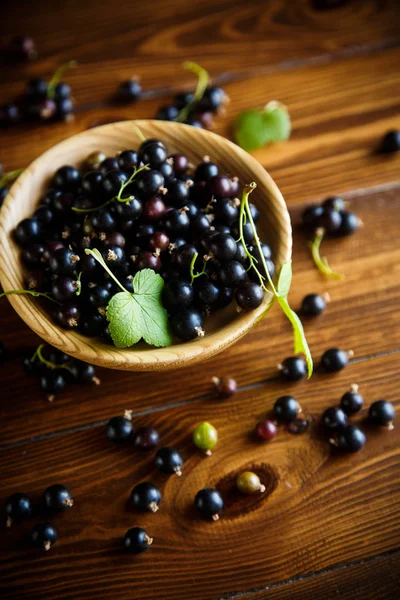 ahşap bir masa üzerinde olgunlaşmış meyveler siyah kuş üzümü