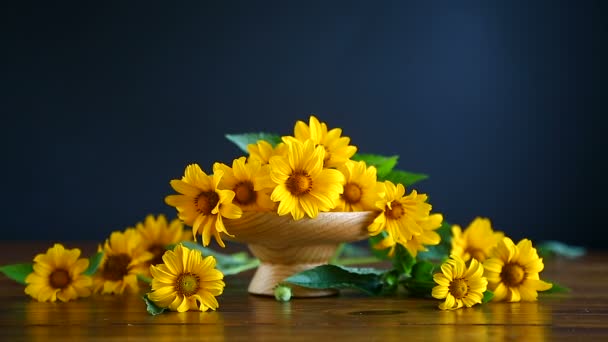 Bouquet de grandes marguerites jaunes — Video