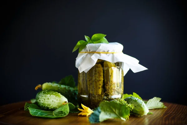 Pickled pickled cucumbers — Stock Photo, Image