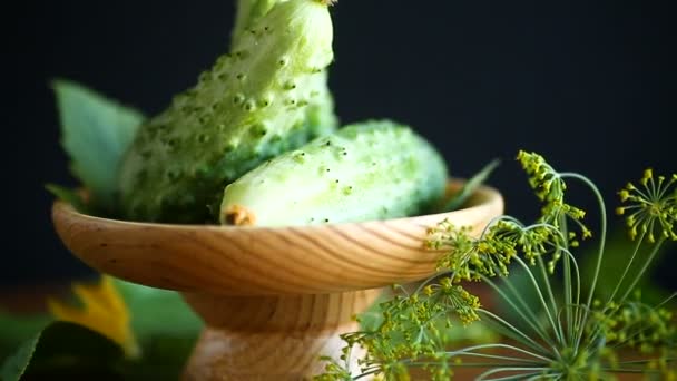 Fresh green cucumbers — Stock Video