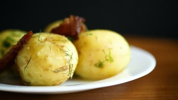 Młode ziemniaki gotowane z smażony boczek — Wideo stockowe