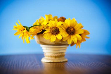 mavi zemin üzerine sarı büyük papatya buketi