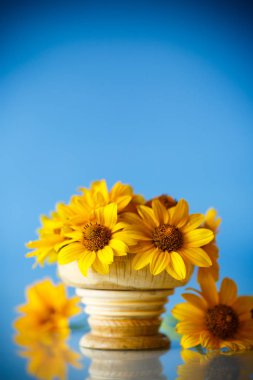 mavi zemin üzerine sarı büyük papatya buketi