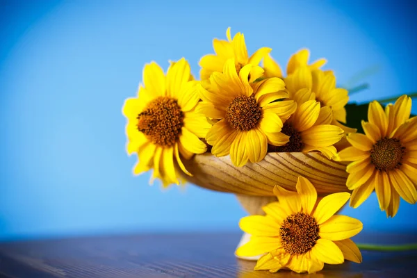 青の背景に黄色の大きなデイジーの花束 — ストック写真