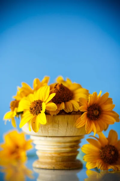 青の背景に黄色の大きなデイジーの花束 — ストック写真