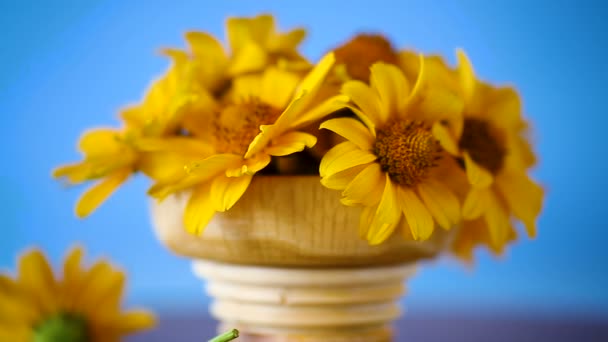 黄色の大きなデイジーの花束 — ストック動画