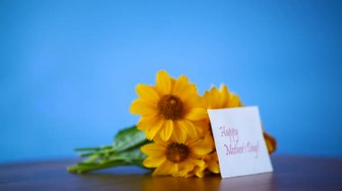 buket sarı büyük papatya