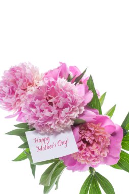 Beyaz arka plan üzerinde çiçek açan peonies buket