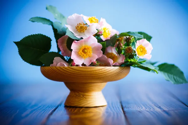 Belas Rosas Florescentes Cartão Saudação Para Mãe Fundo Azul — Fotografia de Stock