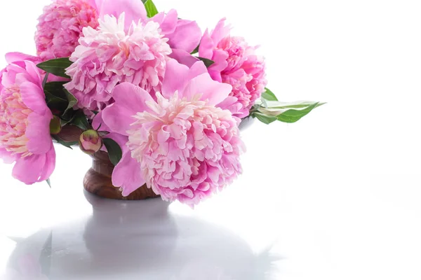 Bouquet Blooming Peonies White Background Stock Photo