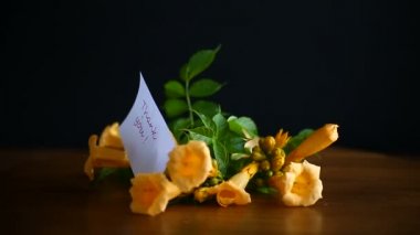 campsis siyah bir zemin üzerine sarı çiçek çiçekler