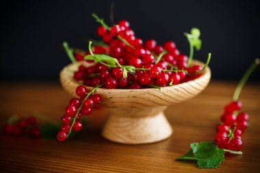 Olgun meyveleri kırmızı kuş üzümü