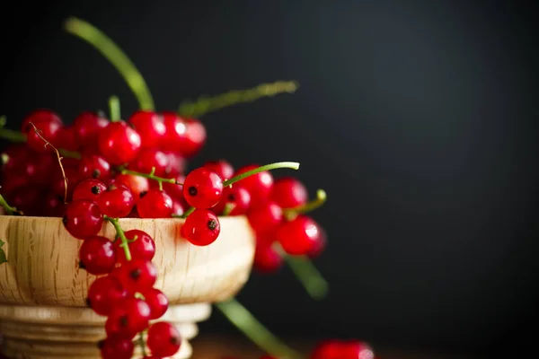 Reife Beeren rote Johannisbeeren — Stockfoto