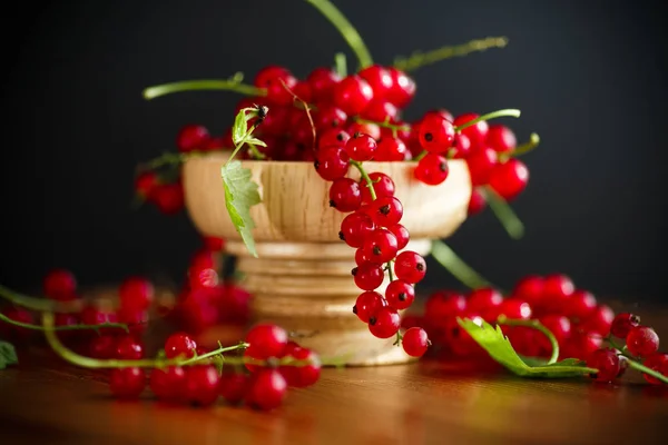 Ripe berries red currants — Stock Photo, Image