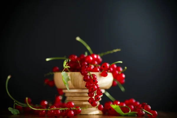 Ripe berries red currants — Stock Photo, Image