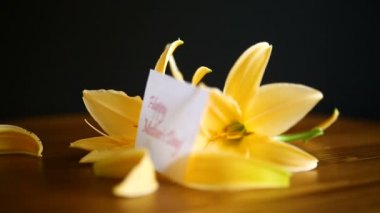 Sarı zambak çiçekler ve tomurcukları