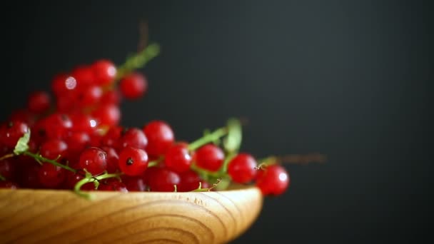 Ripe berries red currants — Stock Video