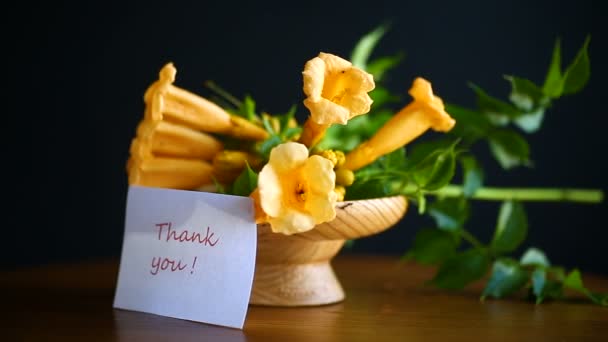 Yellow blossoming flowers campsis — Stock Video