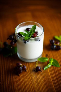 bir cam siyah frenk üzümü ile tatlı ev yapımı yoğurt