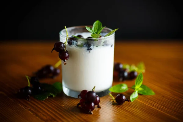 Süßer Hausgemachter Joghurt Mit Schwarzer Johannisbeere Glas — Stockfoto