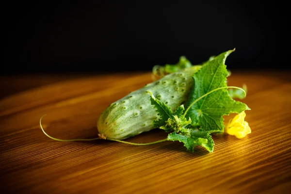 Fresh Green Cucumbers Wooden Table — Stock Photo, Image