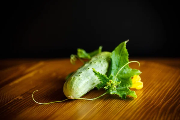 Fresh Green Cucumbers Wooden Table — Stock Photo, Image