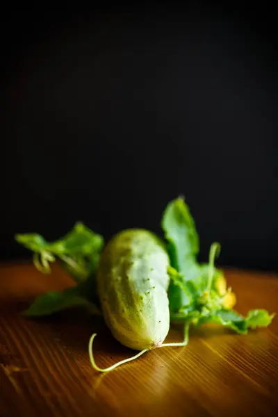 Verse Groene Komkommers Een Houten Tafel — Stockfoto