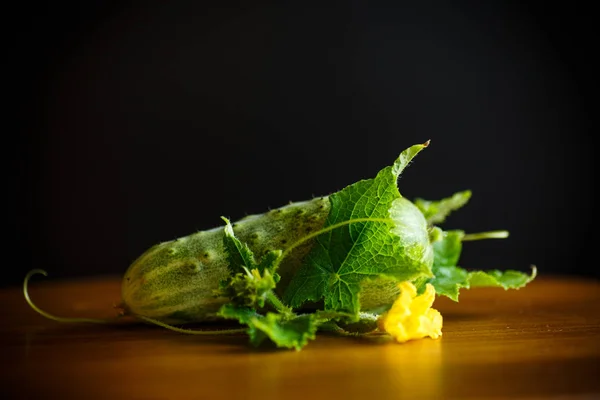 Fresh Green Cucumbers Wooden Table — Stock Photo, Image