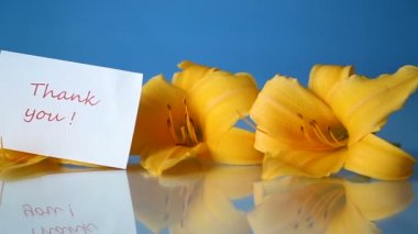 Sarı zambak çiçekler ve tomurcukları