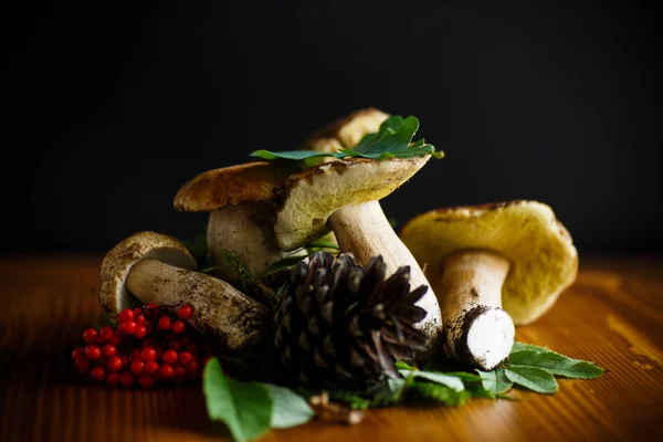 Cogumelos Naturais Floresta Branca Uma Mesa Madeira — Fotografia de Stock