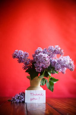 Şube, kırmızı bir arka plan üzerinde çiçek açması baharın leylak