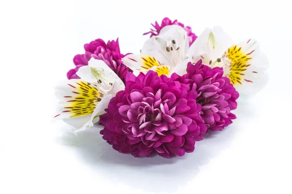 Bouquet Beautiful Chrysanthemums Lysianthus White Background — Stock Photo, Image