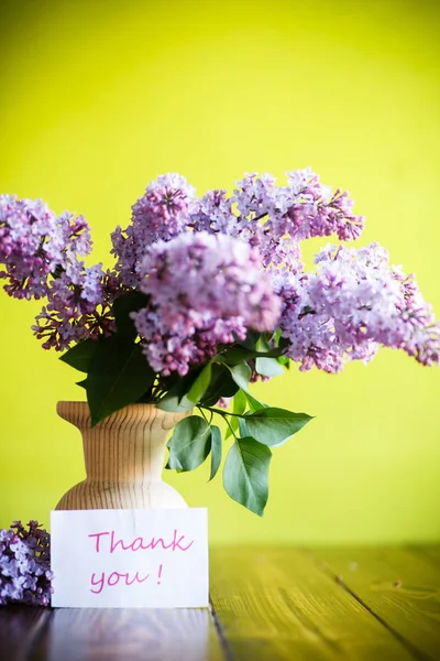 Gren Blommande Våren Lila Grön Bakgrund — Stockfoto