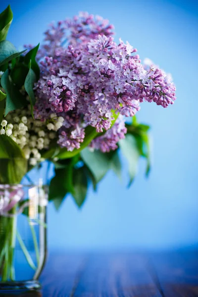 Tak Van Bloeiende Lente Lila Een Blauwe Achtergrond — Stockfoto