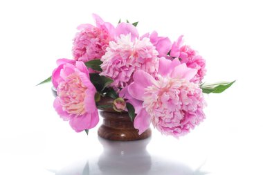 Beyaz arka plan üzerinde çiçek açan peonies buket