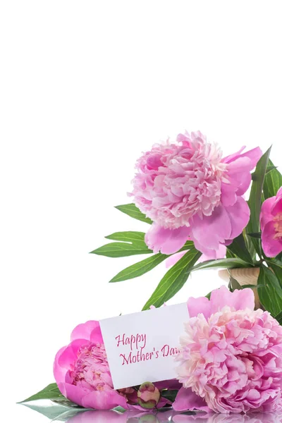Bouquet Blooming Peonies White Background — Stock Photo, Image